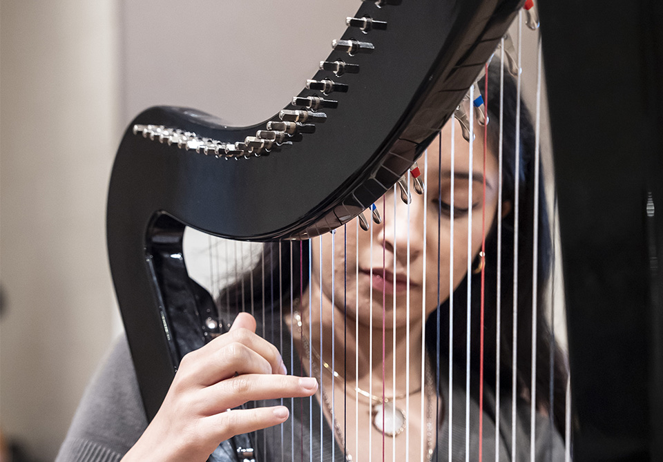 Person playing a black harp with colored strings.